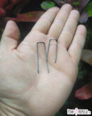 Lot de 10 attaches pour plantes en fer