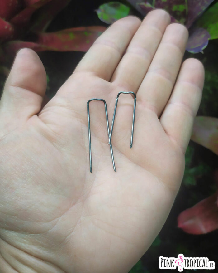 Lot de 10 attaches pour plantes en fer