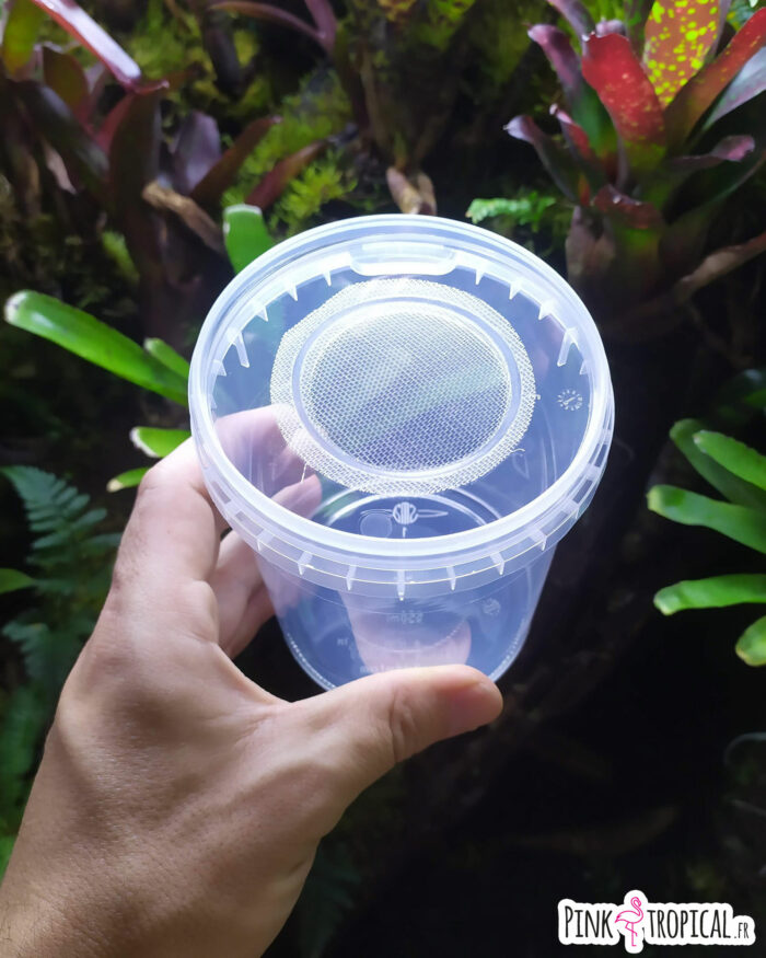 Kit complet XL pour la culture de drosophiles – Image 4