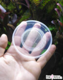 Kit complet XL pour la culture de drosophiles