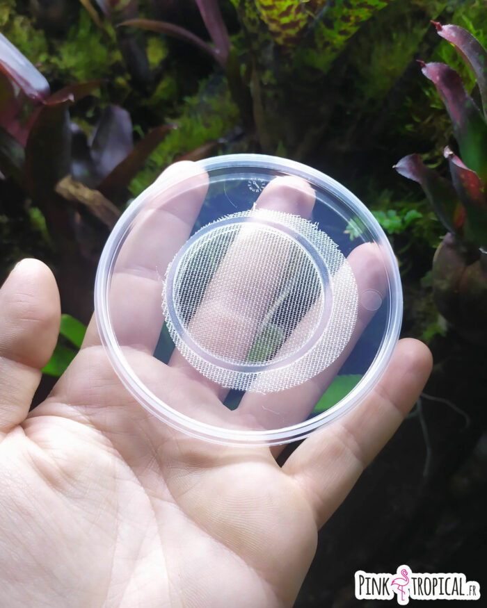 Kit complet XL pour la culture de drosophiles – Image 6