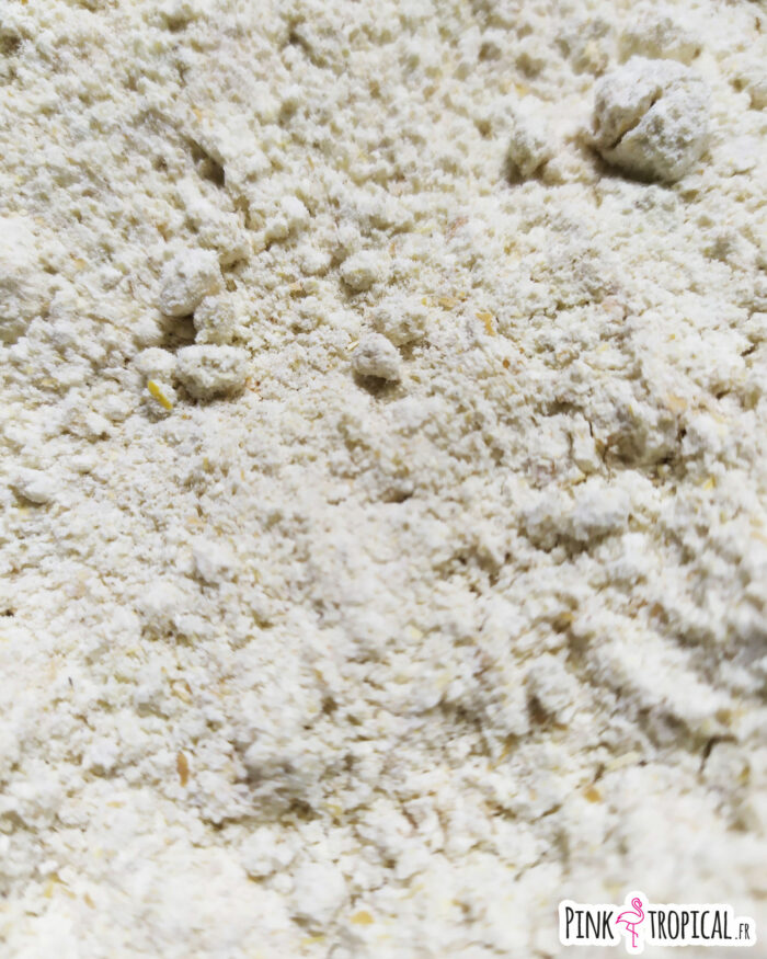 1kg500 de Drosofix pour la culture de drosophiles – Image 3