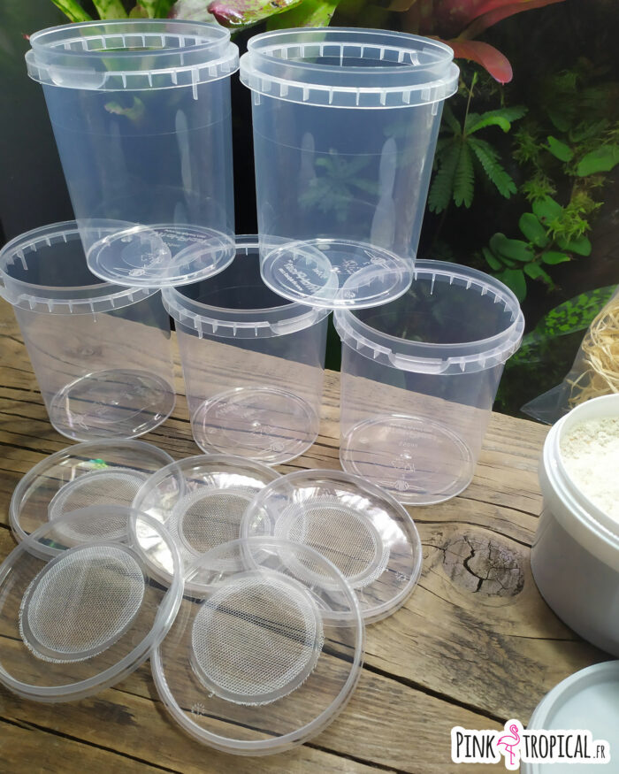 Kit complet XL pour la culture de drosophiles – Image 8