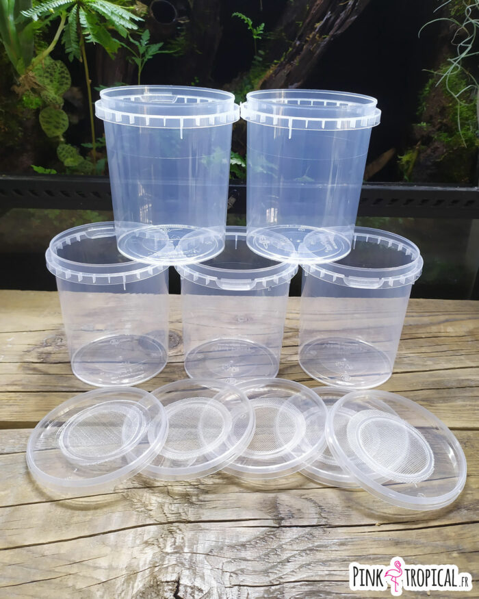 Kit complet XL pour la culture de drosophiles – Image 7