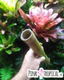 Bambou naturel de 60-70cm et environ Ø4cm