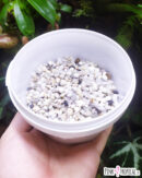 Sable "Creek" en vrac - pot de 500g