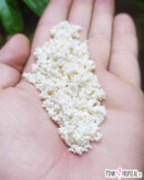 Sable "Hawaii" en vrac - pot de 500g