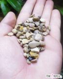 Sable "Lake" en vrac - pot de 500g