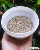Sable "Muriwai" en vrac - pot de 500g
