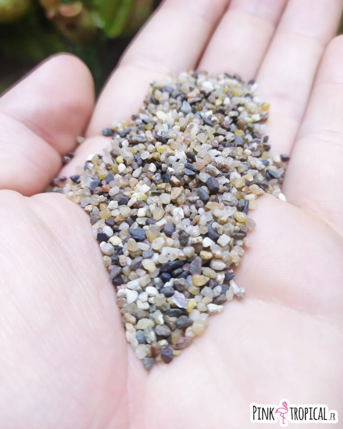 Sable "Muriwai" en vrac - pot de 500g – Image 2