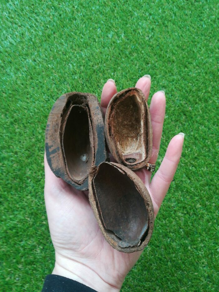 Cosse de palmier par lot de 3