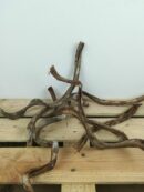 Liane naturelle pour terrarium - Environ 40/50cm de long