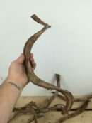 Liane naturelle pour terrarium - Environ 40/50cm de long