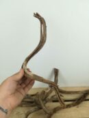 Liane naturelle pour terrarium - Environ 40/50cm de long