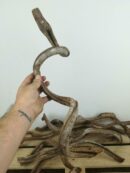Liane naturelle pour terrarium - Environ 50/60cm de long