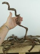 Liane naturelle pour terrarium - Environ 50/60cm de long