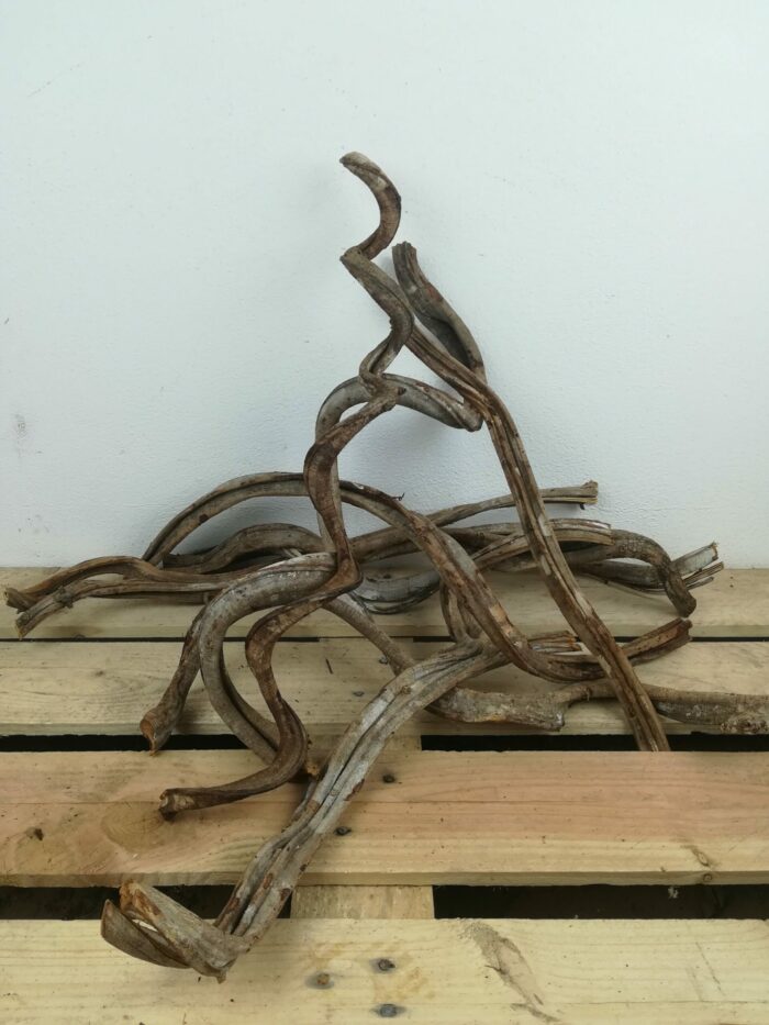 Liane naturelle pour terrarium - Environ 50/60cm de long – Image 4