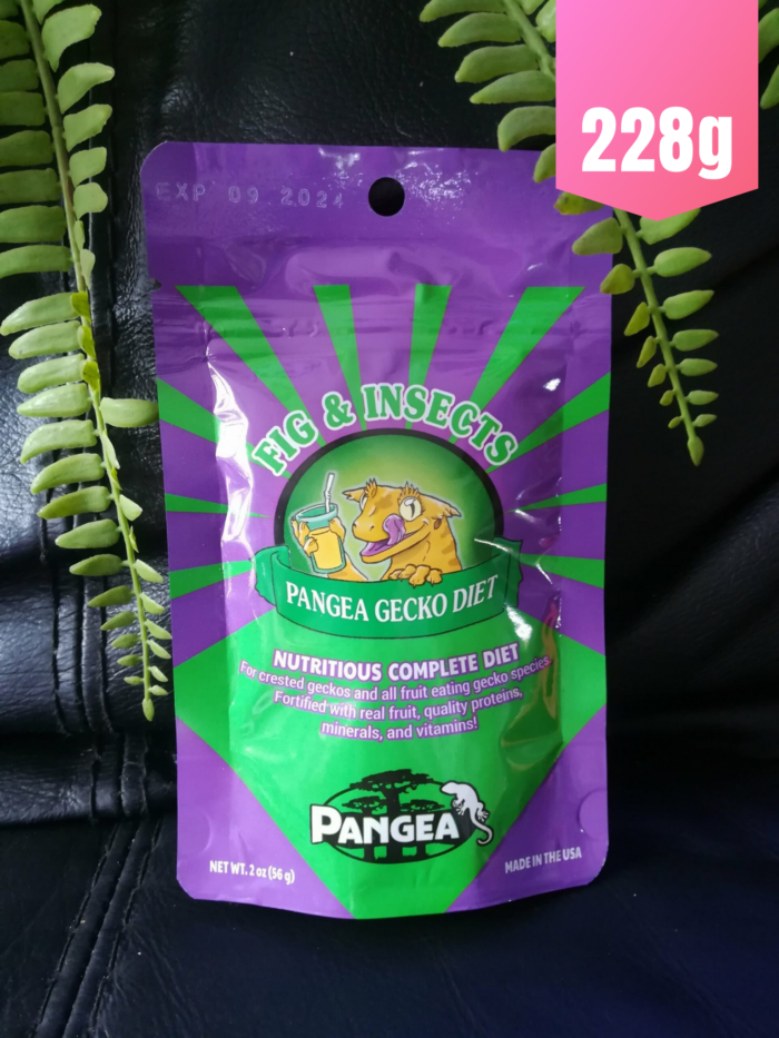 Pangea "Insectes et Figue" - Nourriture complète pour geckos 💪 Sachet violet de 228gr