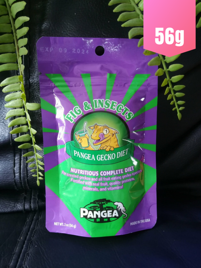 Pangea "Insectes et Figue" - Nourriture complète pour geckos  - Sachet violet de 56gr