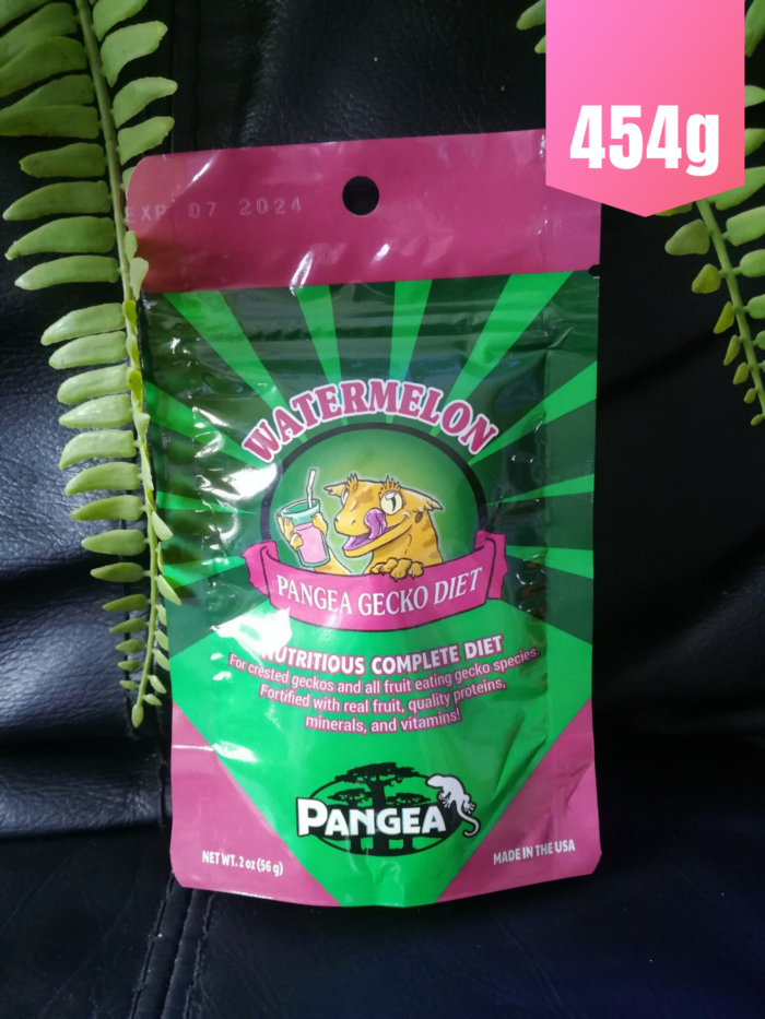Pangea "Pastèque" - Nourriture complète pour geckos 💪💪 Sachet rose de 454gr