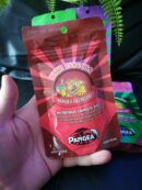 ⭐ Pangea "Pack découverte" - Nourriture complète pour geckos  - 5 Sachets de 56gr
