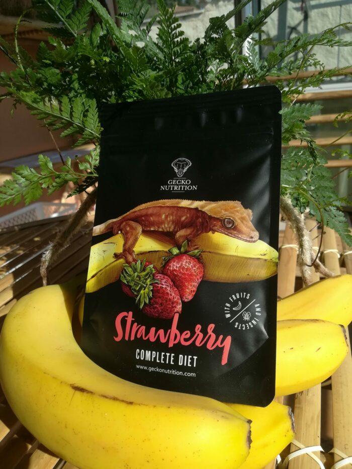 Gecko Nutrition "Fraise" - Nourriture complète pour geckos  - Sachet de 50gr