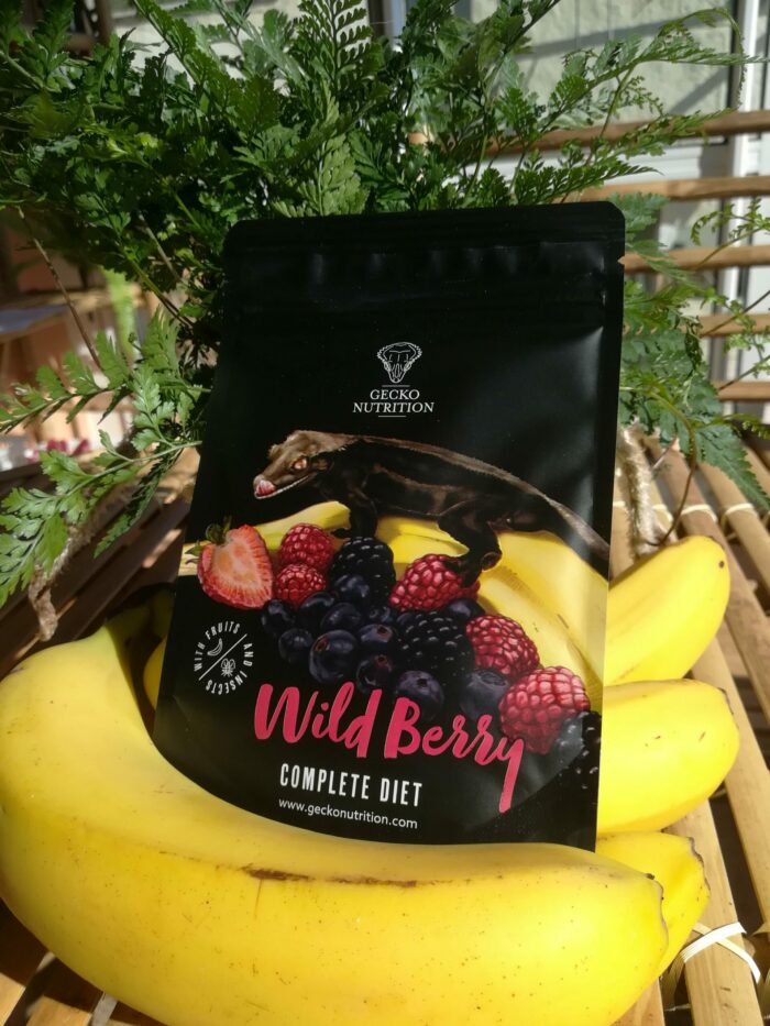 Gecko Nutrition "Fruits rouges" - Nourriture complète pour geckos  - Sachet de 50gr