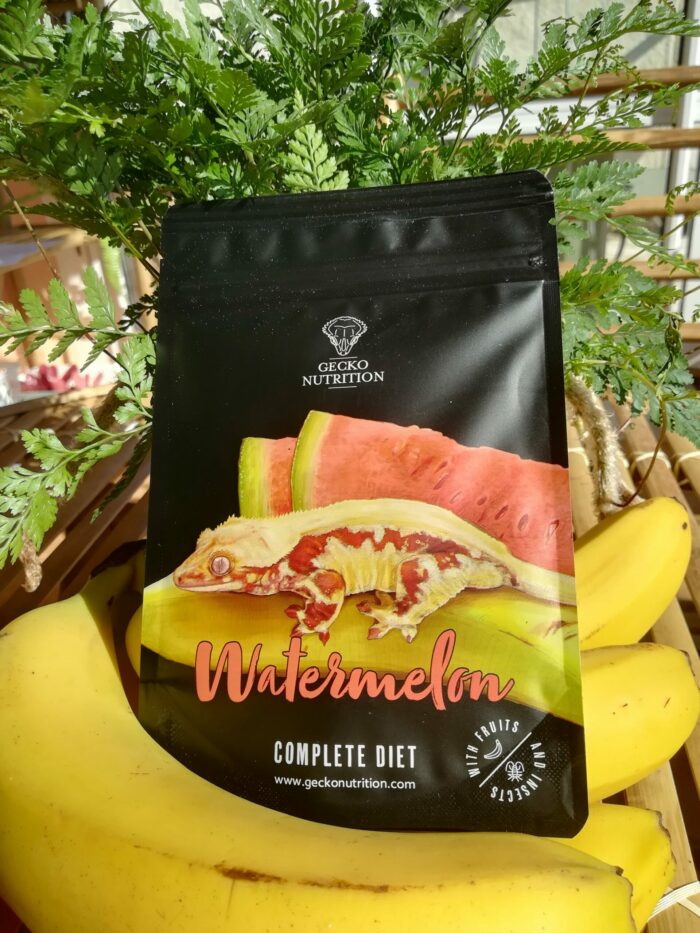 Gecko Nutrition "Pastèque" - Nourriture complète pour geckos  - Sachet de 50gr