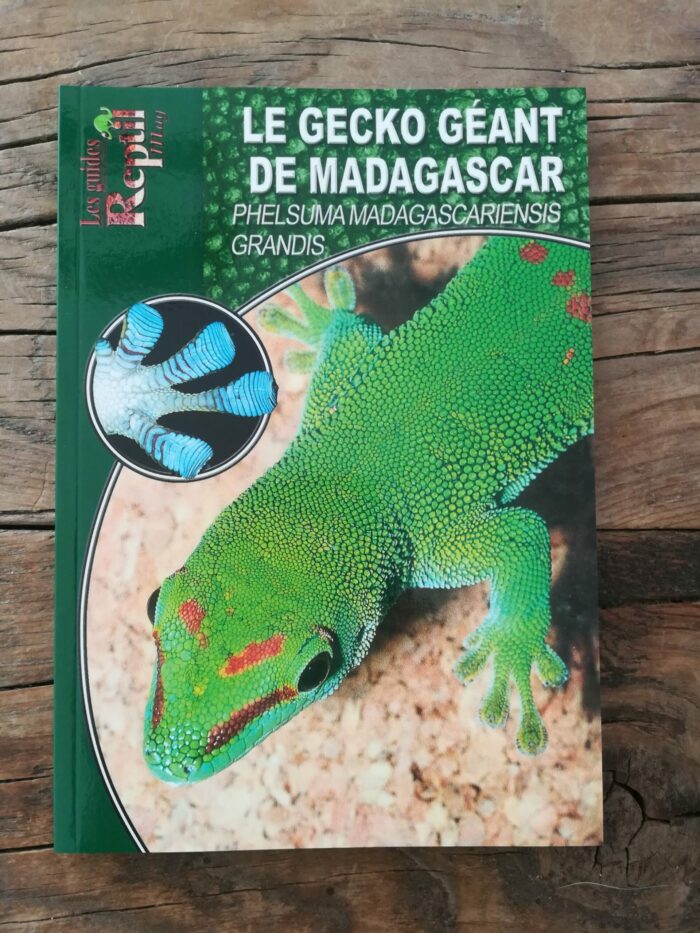 📖 Livre - Le Gecko Géant de Madagascar - Phelsuma madagascariensis grandis