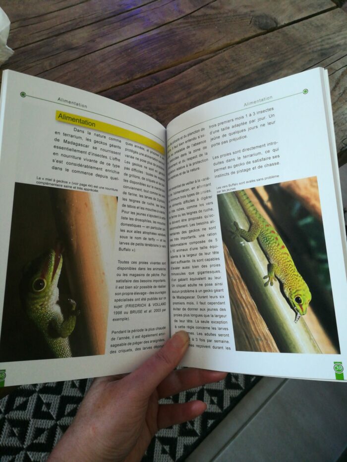 📖 Livre - Le Gecko Géant de Madagascar - Phelsuma madagascariensis grandis – Image 3