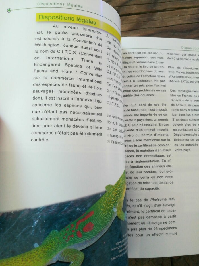 📖 Livre - Le gecko poudre d'Or - Phelsuma laticauda – Image 3