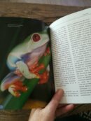 📖 Livre - La Rainette aux Yeux Rouges - Agalychnis callidryas