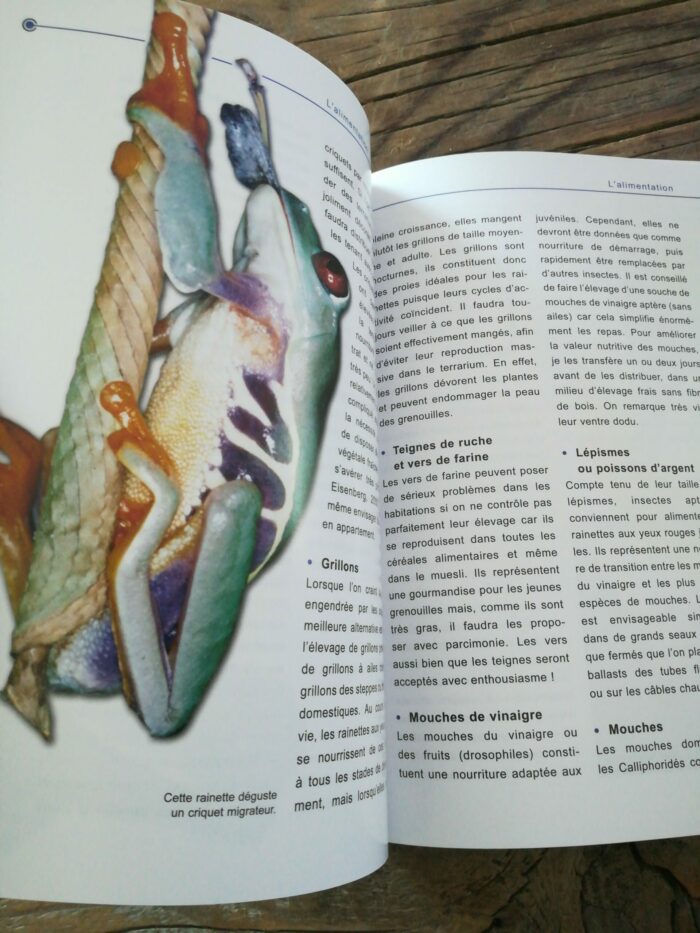 📖 Livre - La Rainette aux Yeux Rouges - Agalychnis callidryas – Image 3