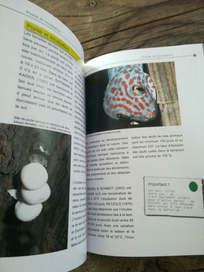 📖 Livre - Le Tokay - Gekko gecko – Image 3
