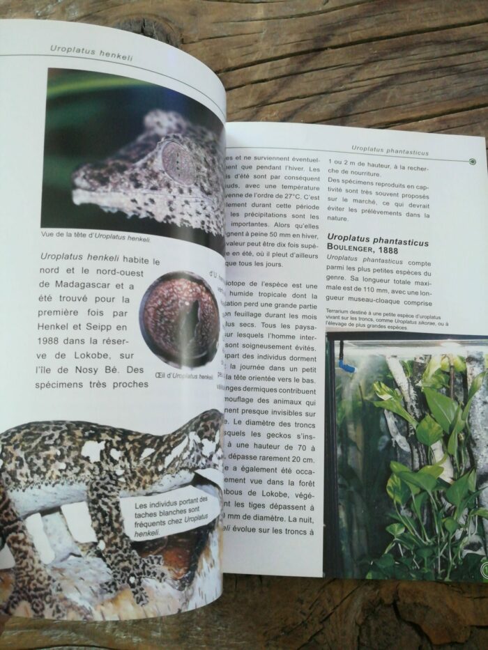 📖 Livre - Les Geckos à Queue Plate - Genre Uroplatus – Image 2