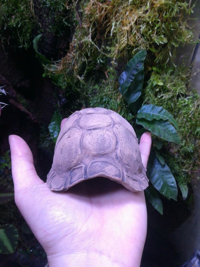 Cachette "Carapace de tortue" en céramique – Image 3