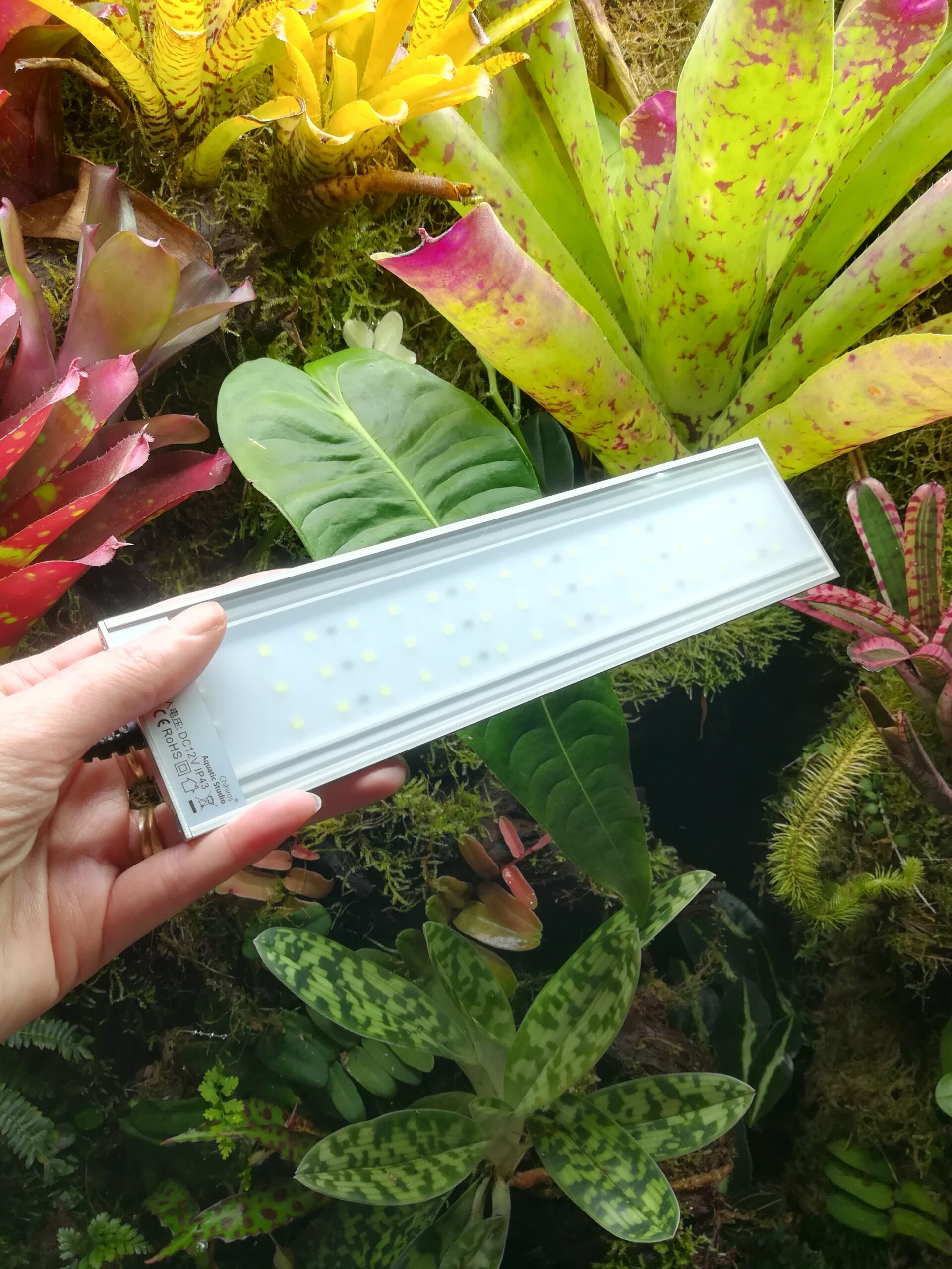 IMG_20211207_183320-scaled