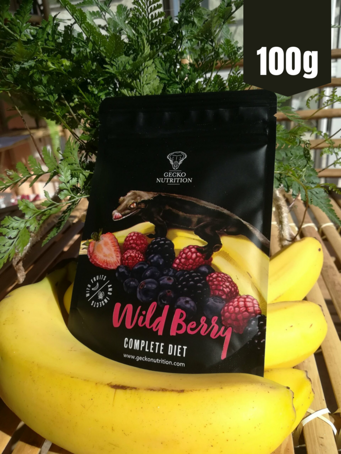 Gecko Nutrition "Fruits rouges" - Nourriture complète pour geckos 💪 Sachet de 100gr
