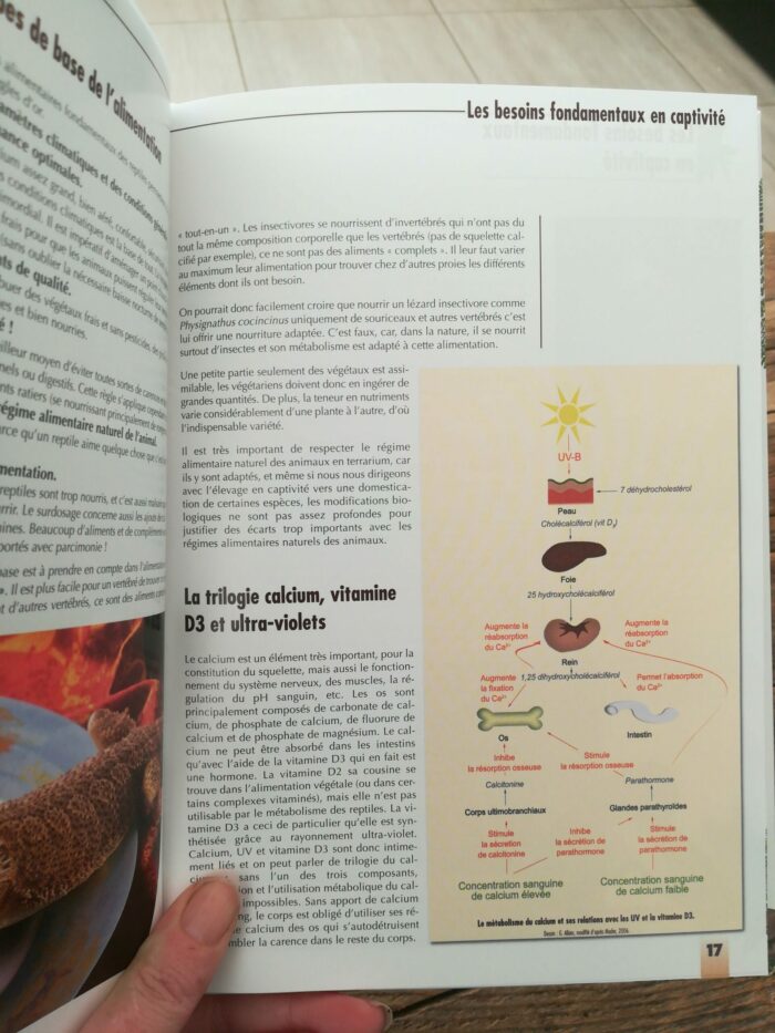 📖 Livre - L'alimentation des reptiles – Image 2
