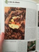 📖 Livre - L'alimentation des reptiles