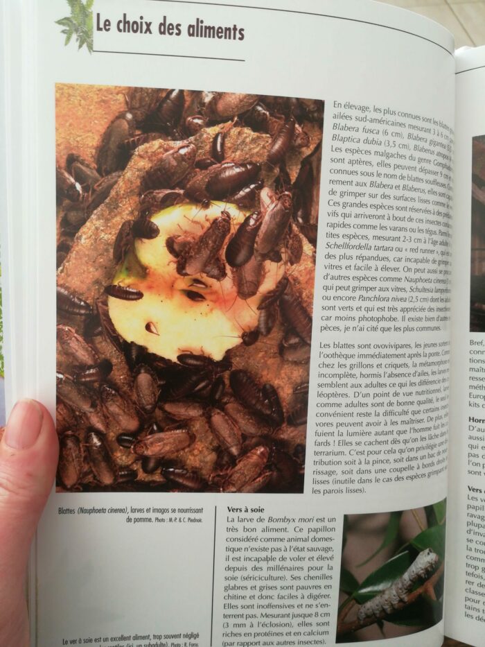📖 Livre - L'alimentation des reptiles – Image 3
