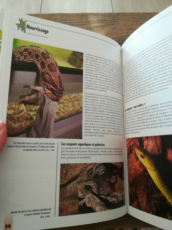 📖 Livre - L'alimentation des reptiles – Image 4