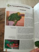 📖 Livre - La reproduction des reptiles en captivité