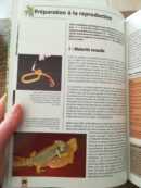 📖 Livre - La reproduction des reptiles en captivité