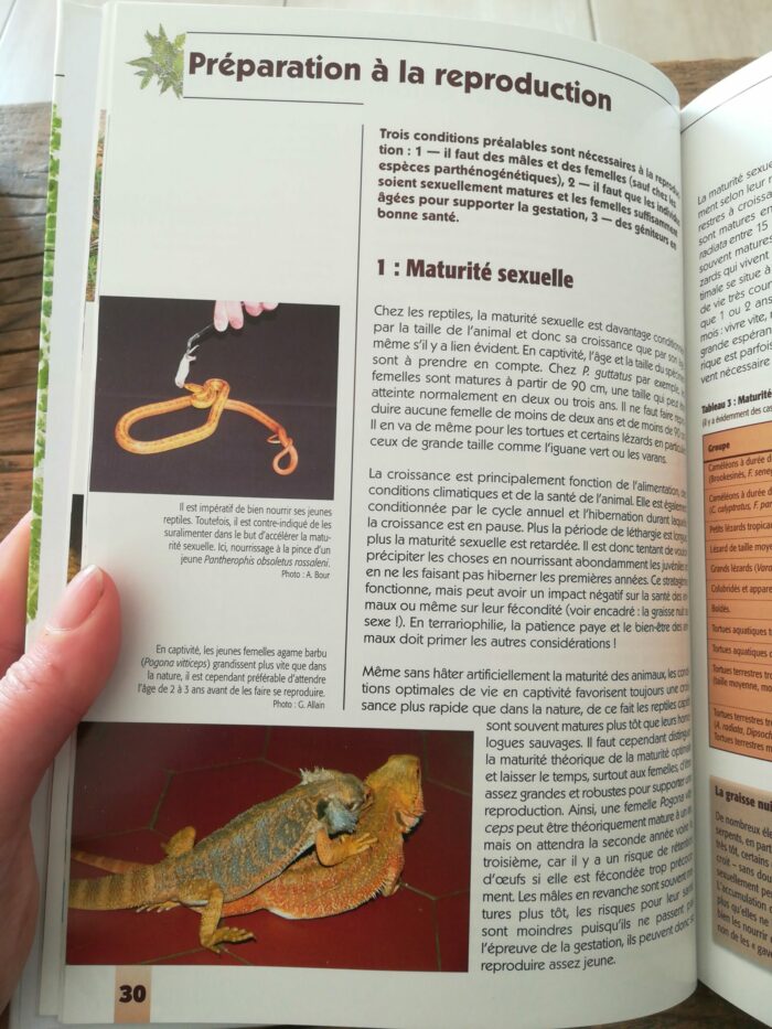 📖 Livre - La reproduction des reptiles en captivité – Image 4