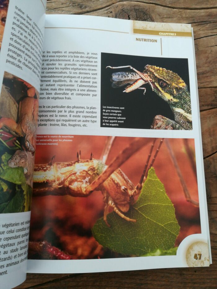 📖 Livre - Le Terrarium – Image 3