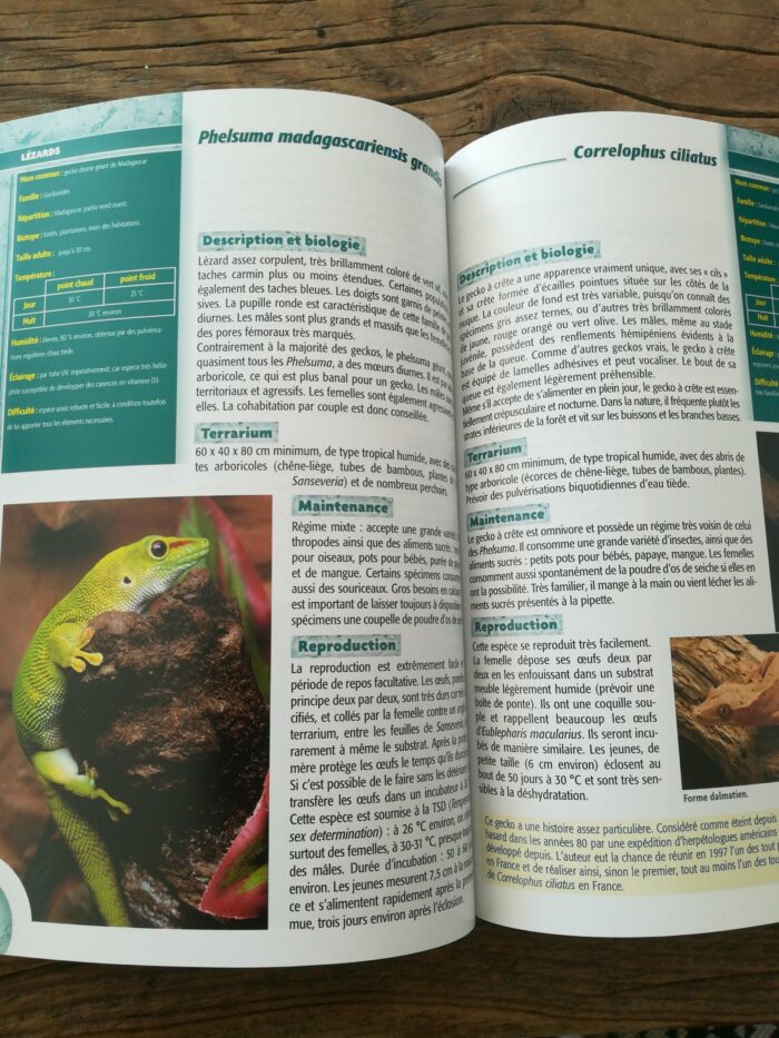 📖 Livre - Le Terrarium – Image 2
