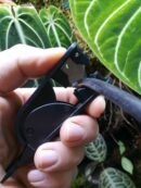 Coupe tuyau pour tuyau de brumisation