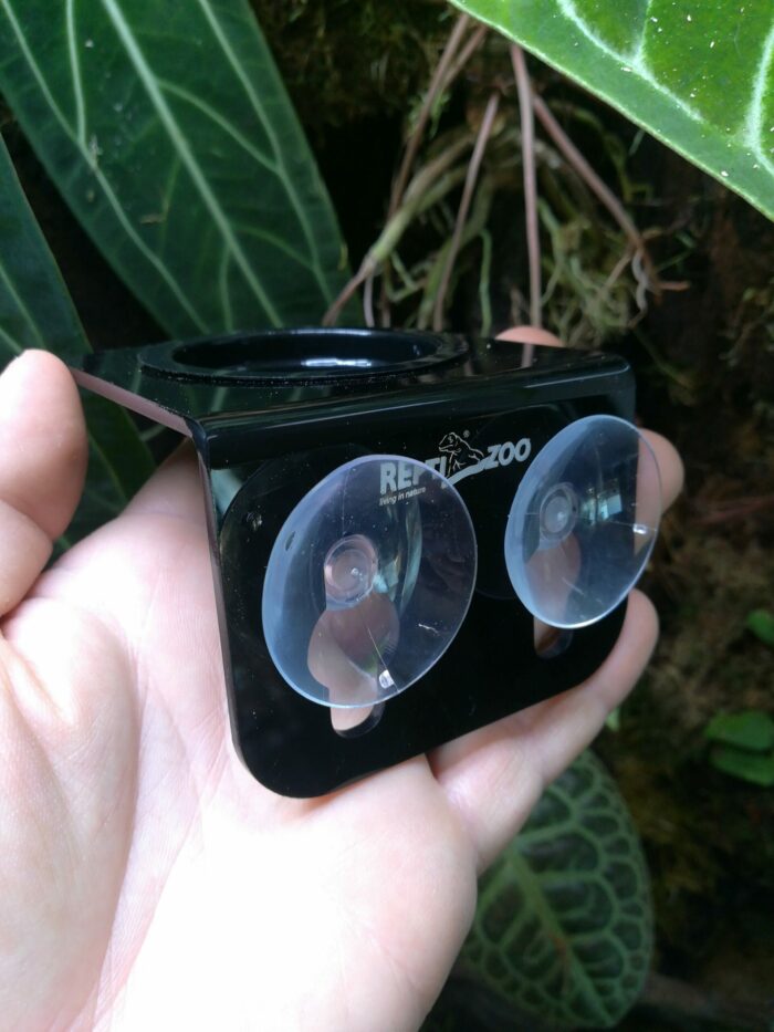 Mangeoire avec ventouse pour gecko arboricole – Image 2
