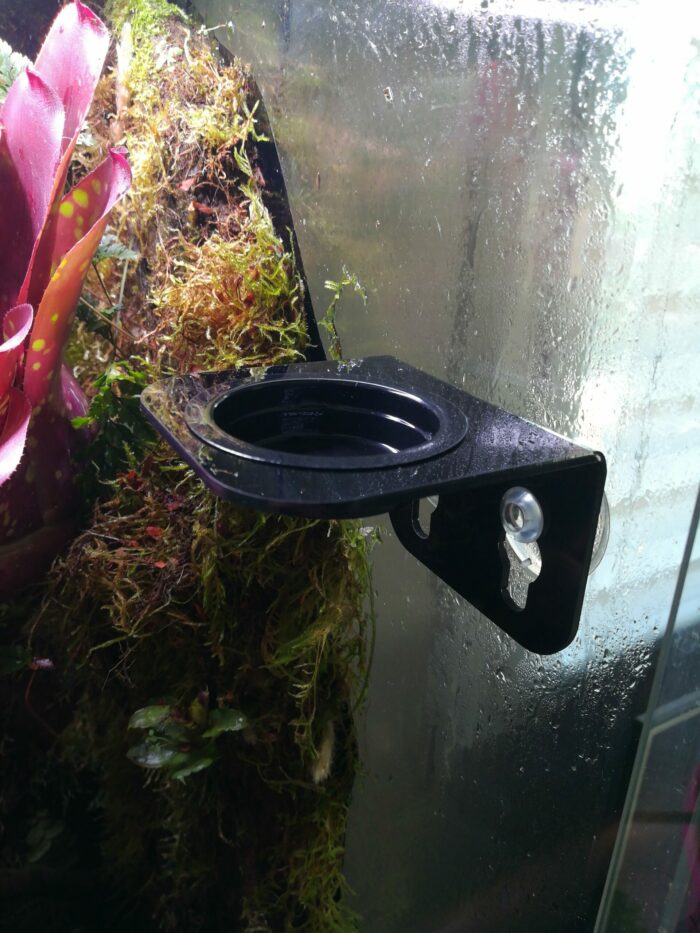 Mangeoire avec ventouse pour gecko arboricole – Image 3